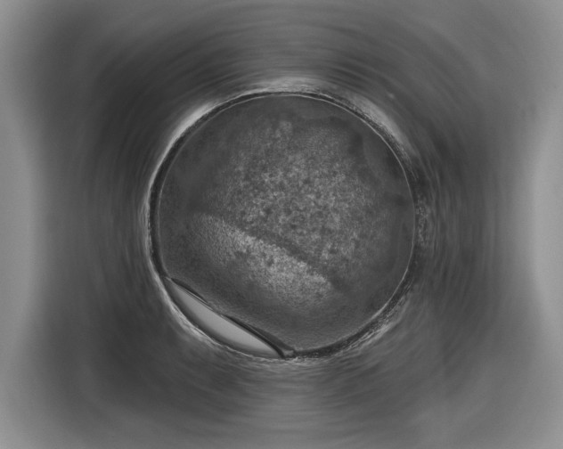 X0000116631087200912181320