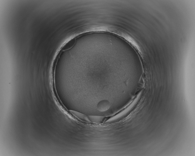 X0000116631088200912181320