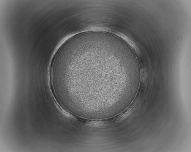 X0000116631094200912181320