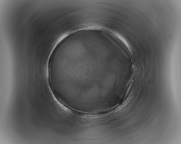 X0000116631095200912181320