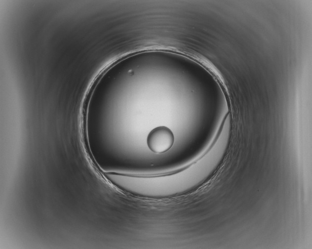 X0000116631096200912181320