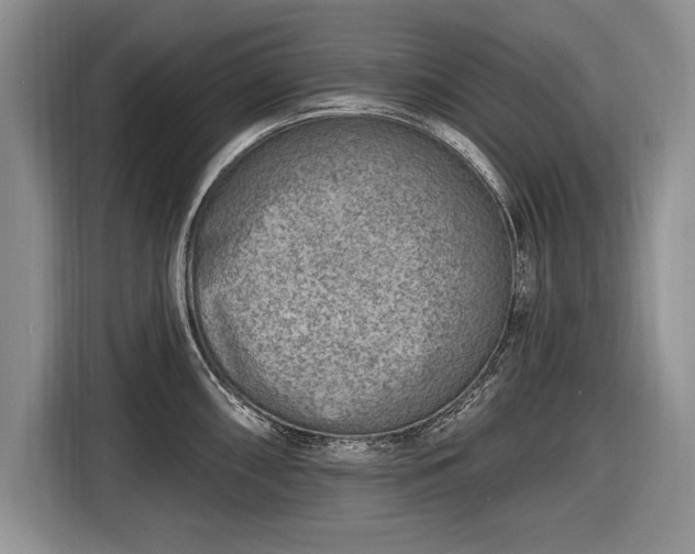 X0000116631098200912181320