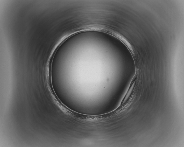 X0000116631099200912181320