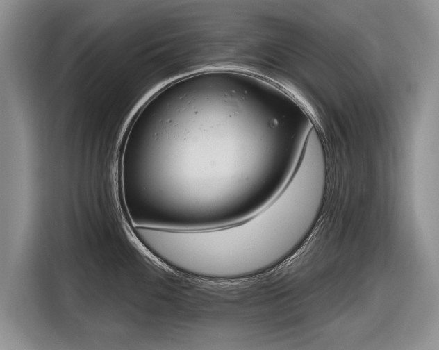 X0000116631100200912181320