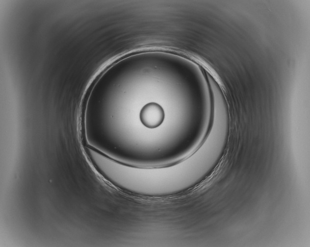 X0000116631101200912181320