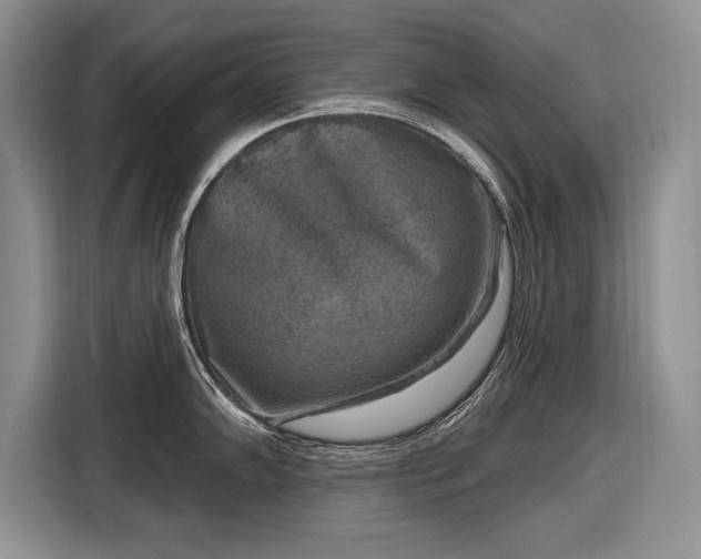 X0000116631102200912181320