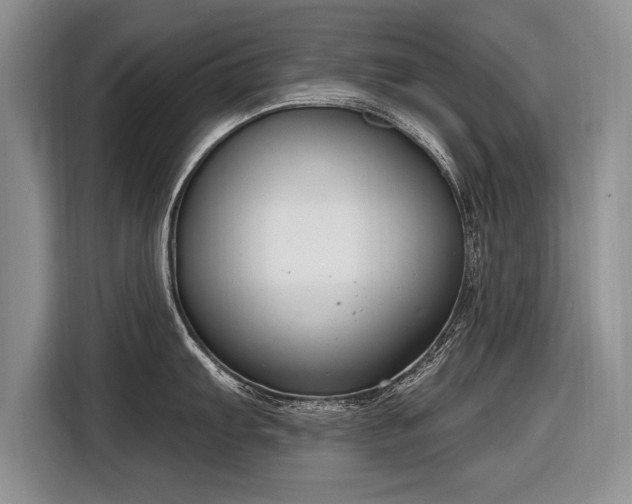 X0000116631103200912181320