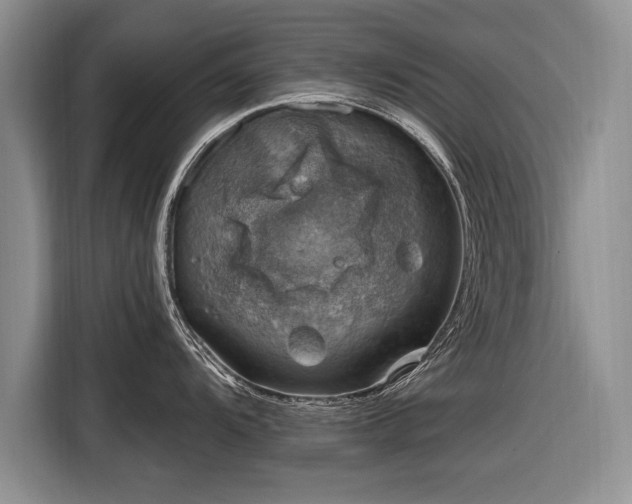 X0000116631104200912181320