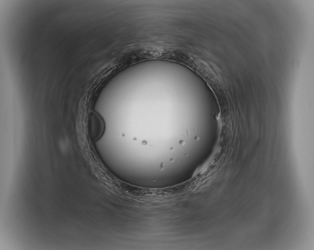 X0000116631105200912181319