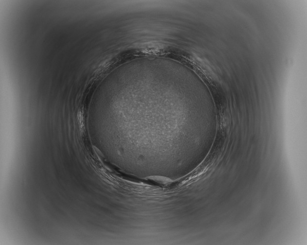 X0000116631106200912181319