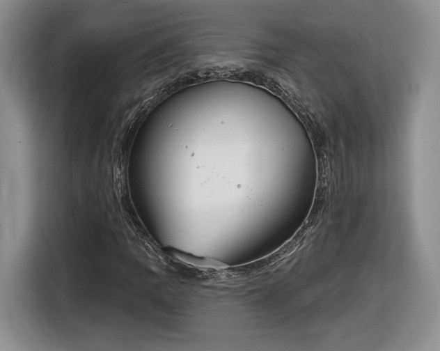 X0000116631109200912181319