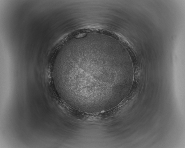 X0000116631110200912181319