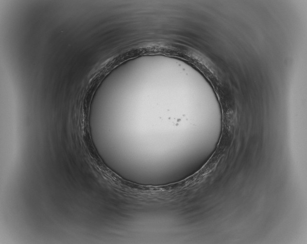 X0000116631111200912181319