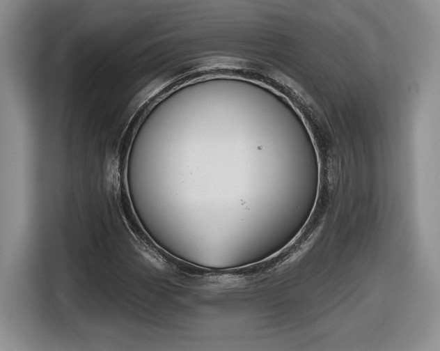 X0000116631113200912181319