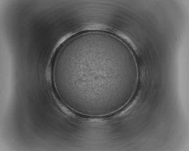 X0000116631114200912181319