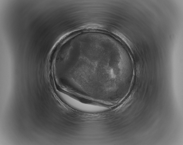 X0000116631115200912181319