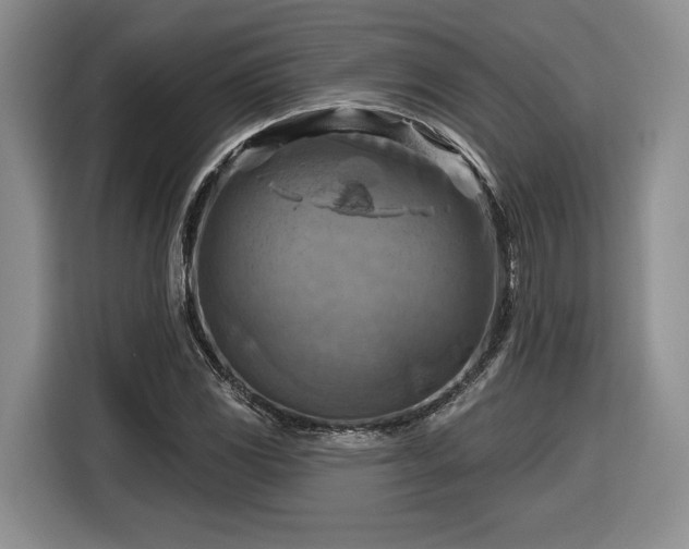 X0000116631117200912181319