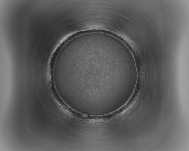 X0000116631118200912181319