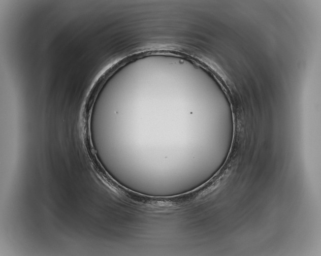 X0000116631119200912181319