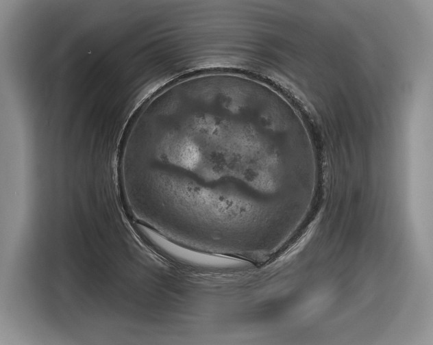 X0000116631121200912181319