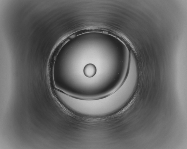 X0000116631122200912181319