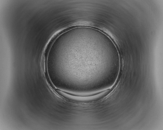 X0000116631123200912181319