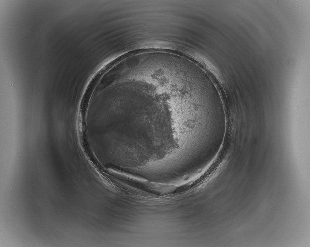 X0000116631125200912181319