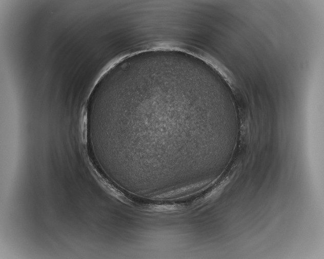 X0000116631126200912181319