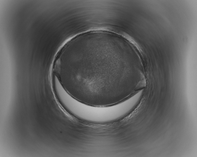 X0000116631127200912181319