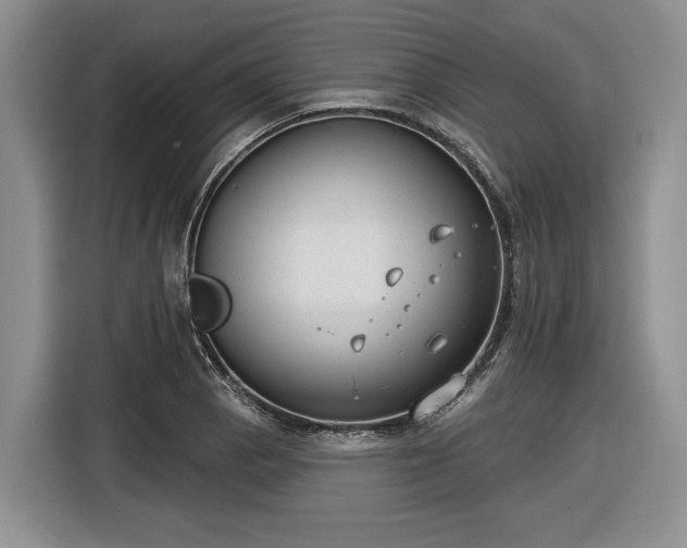 X0000116631129200912181319