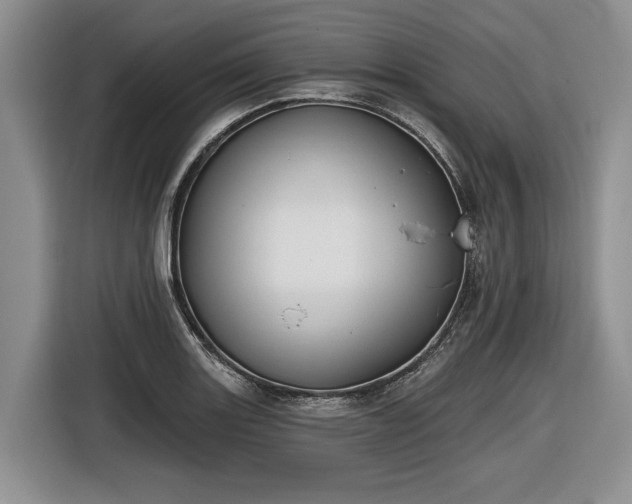 X0000116631131200912181319