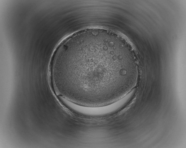 X0000116631133200912181319