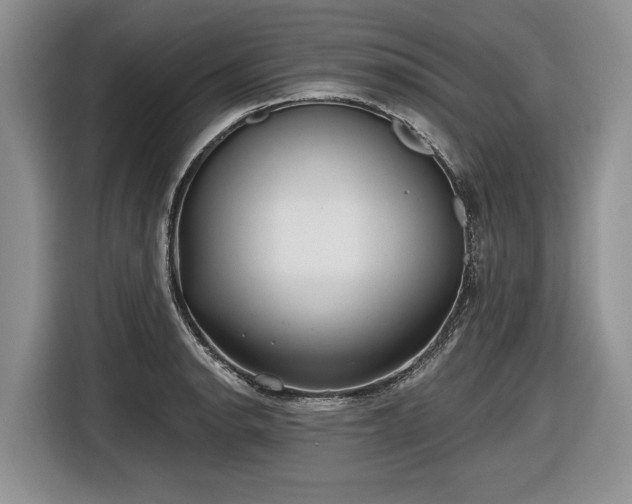 X0000116631134200912181319