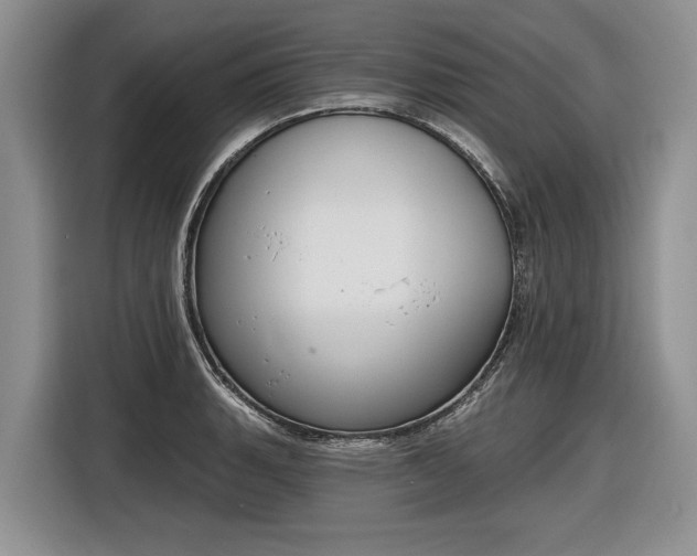 X0000116631135200912181320