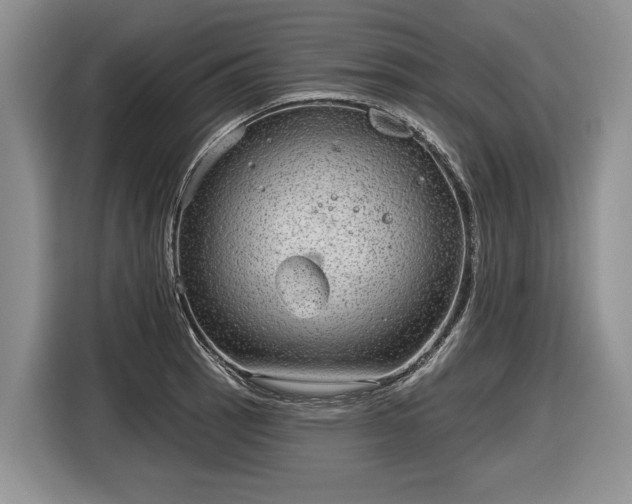 X0000116631137200912181320