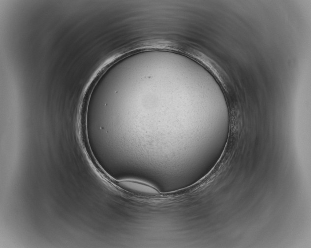 X0000116631139200912181320