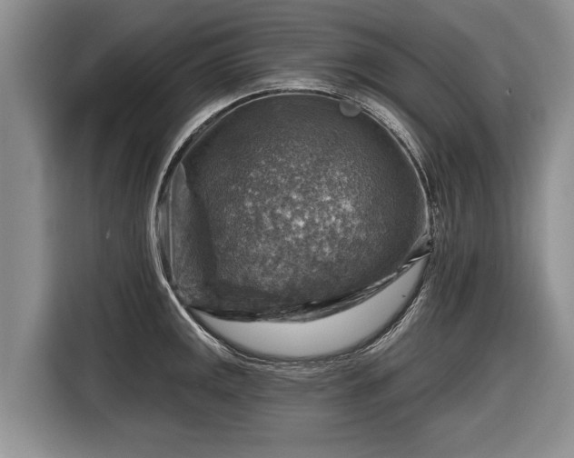 X0000116631141200912181320