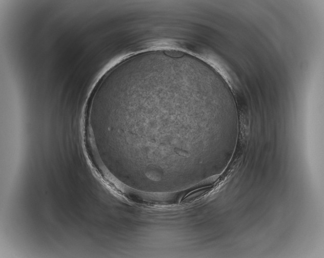 X0000116631142200912181320