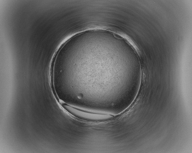 X0000116631143200912181320