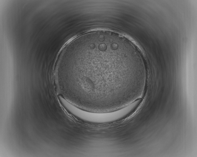 X0000116631145200912181320