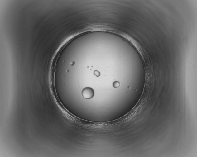 X0000116631147200912181320