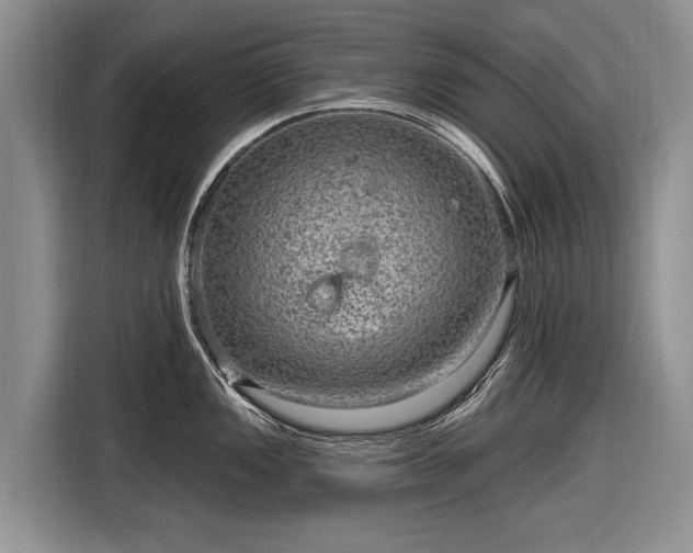 X0000116631149200912181320