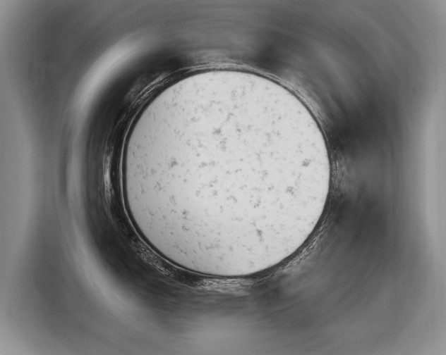 X0000116631150200912181320