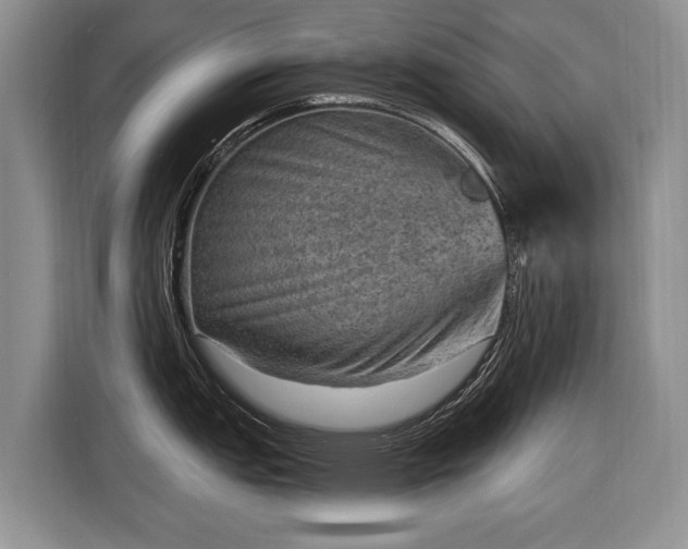 X0000116631151200912181320