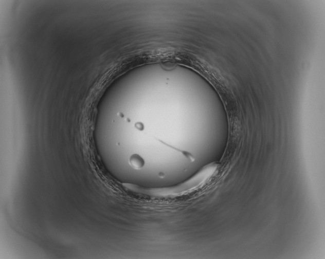 X0000116631153200912181319