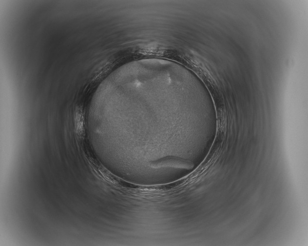 X0000116631154200912181319