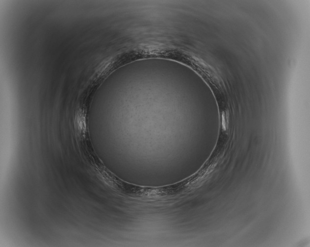 X0000116631155200912181319