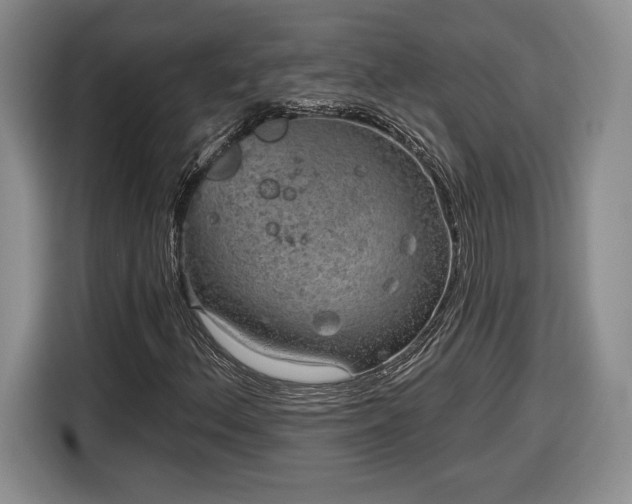 X0000116631156200912181319