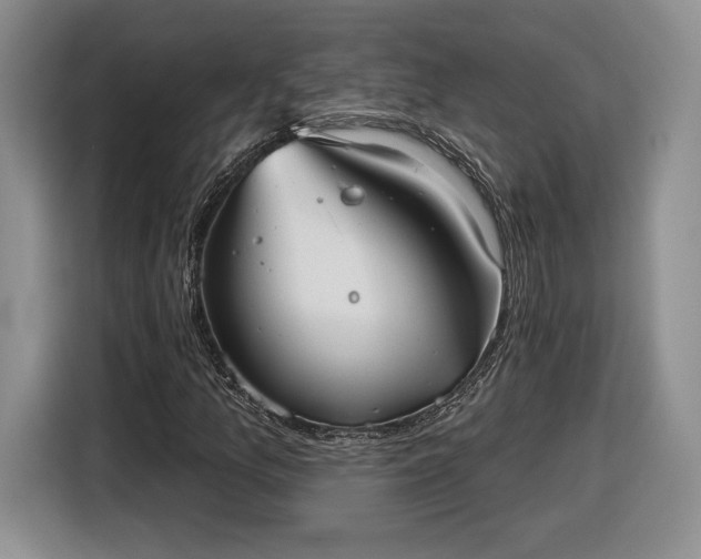 X0000116631157200912181319