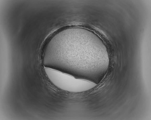 X0000116631160200912181319